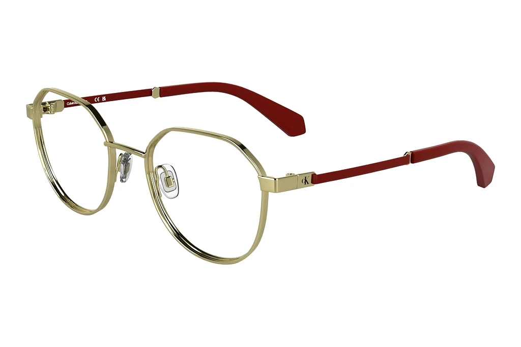 Calvin Klein CKJ25304 717 GOLD GOLD Calvin Klein CKJ25304 717 GOLD GOLD