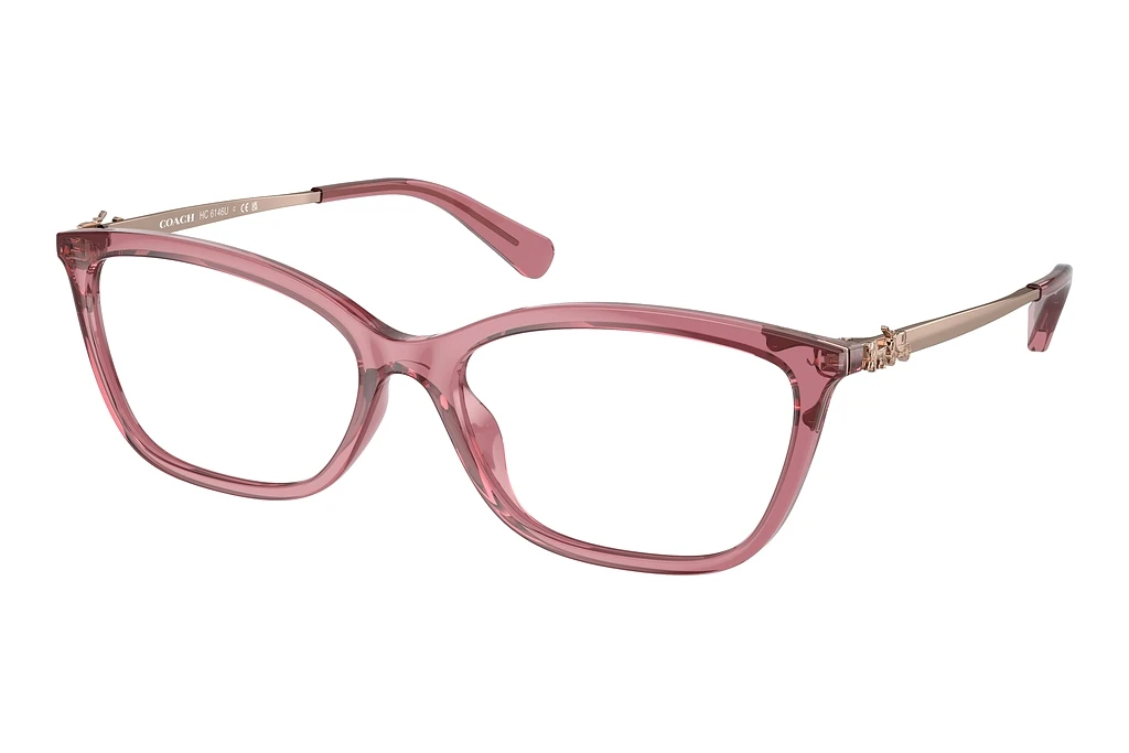 Coach HC6146U 5800 Transparent Berry Coach HC6146U 5800 Transparent Berry