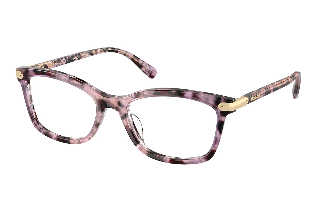 Coach HC6219U 5777 Iris Tortoise Coach HC6219U 5777 Iris Tortoise