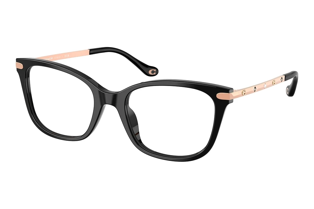 Coach HC6261BU 5002 Black Coach HC6261BU 5002 Black