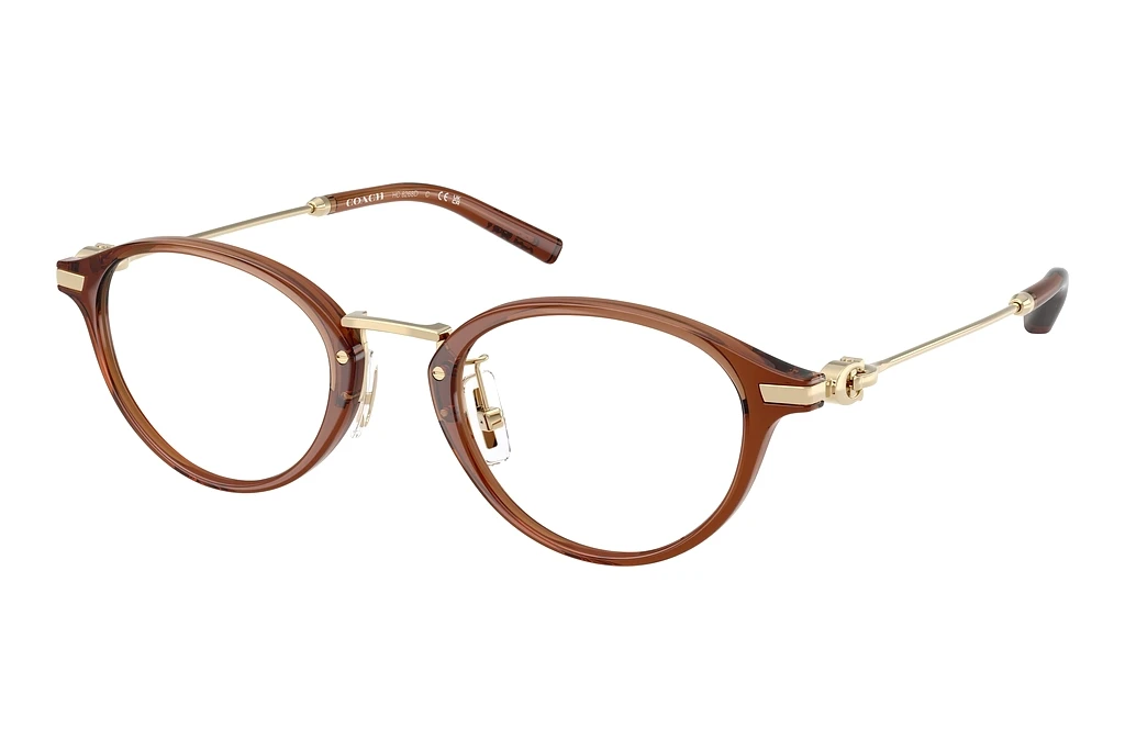 Coach HC6268D 5888 Transparent Brown Coach HC6268D 5888 Transparent Brown