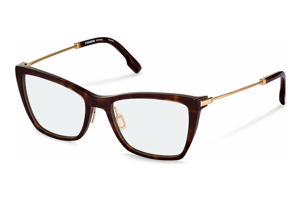Rodenstock R8035 B000 havana, gold Rodenstock R8035 B000 havana, gold