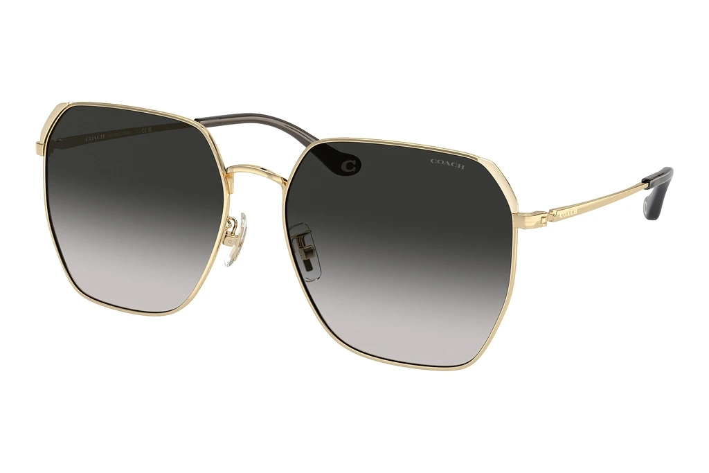 Coach HC7165D 90053C Grey GradientShiny Light Gold Coach HC7165D 90053C Grey GradientShiny Light Gold