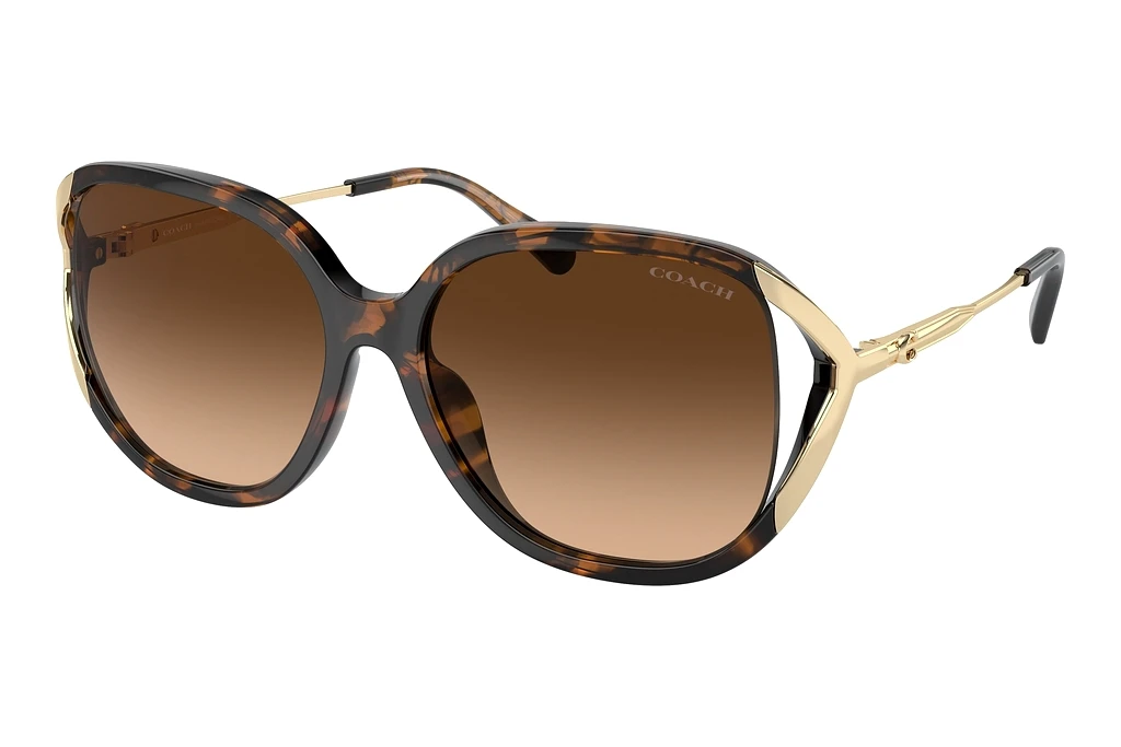 Coach HC8396U 512074 Brown GradientDark Tortoise Coach HC8396U 512074 Brown GradientDark Tortoise