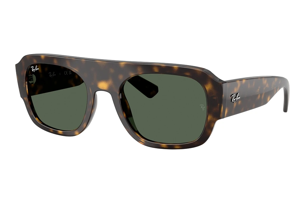 Ray-Ban RB2218 679071 GreenHavana Ray-Ban RB2218 679071 GreenHavana
