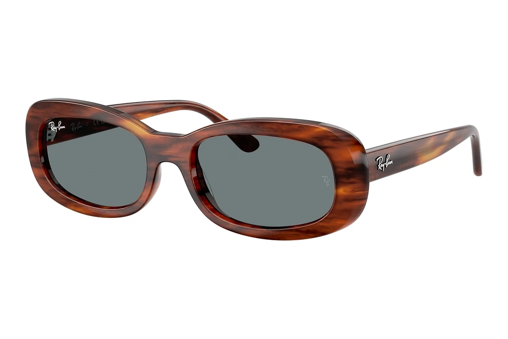 Ray-Ban RB2221 954/62 BlueStriped Havana Ray-Ban RB2221 954/62 BlueStriped Havana