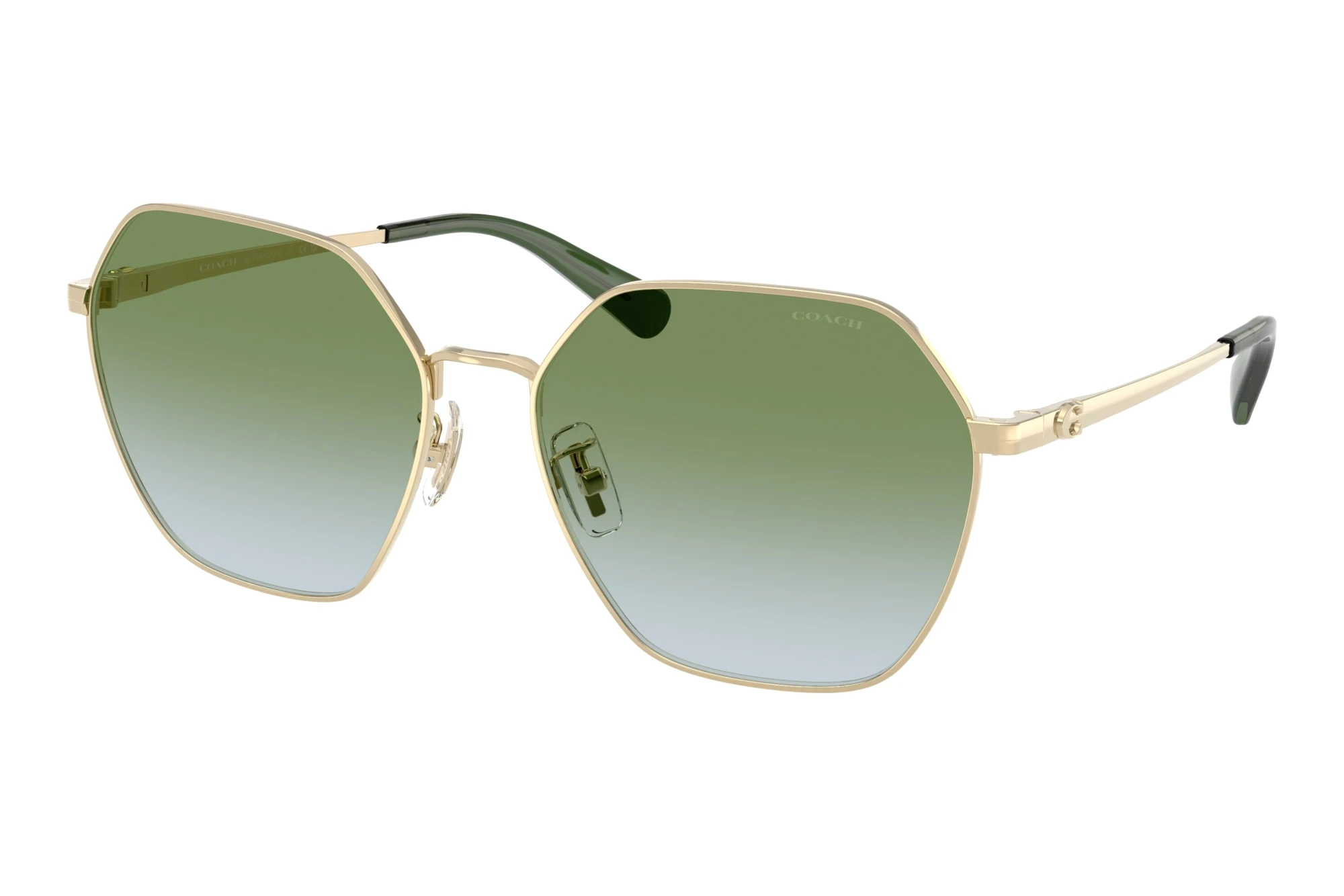 Coach HC7194 9005I7 Green GradientShiny Light Gold Coach HC7194 9005I7 Green GradientShiny Light Gold