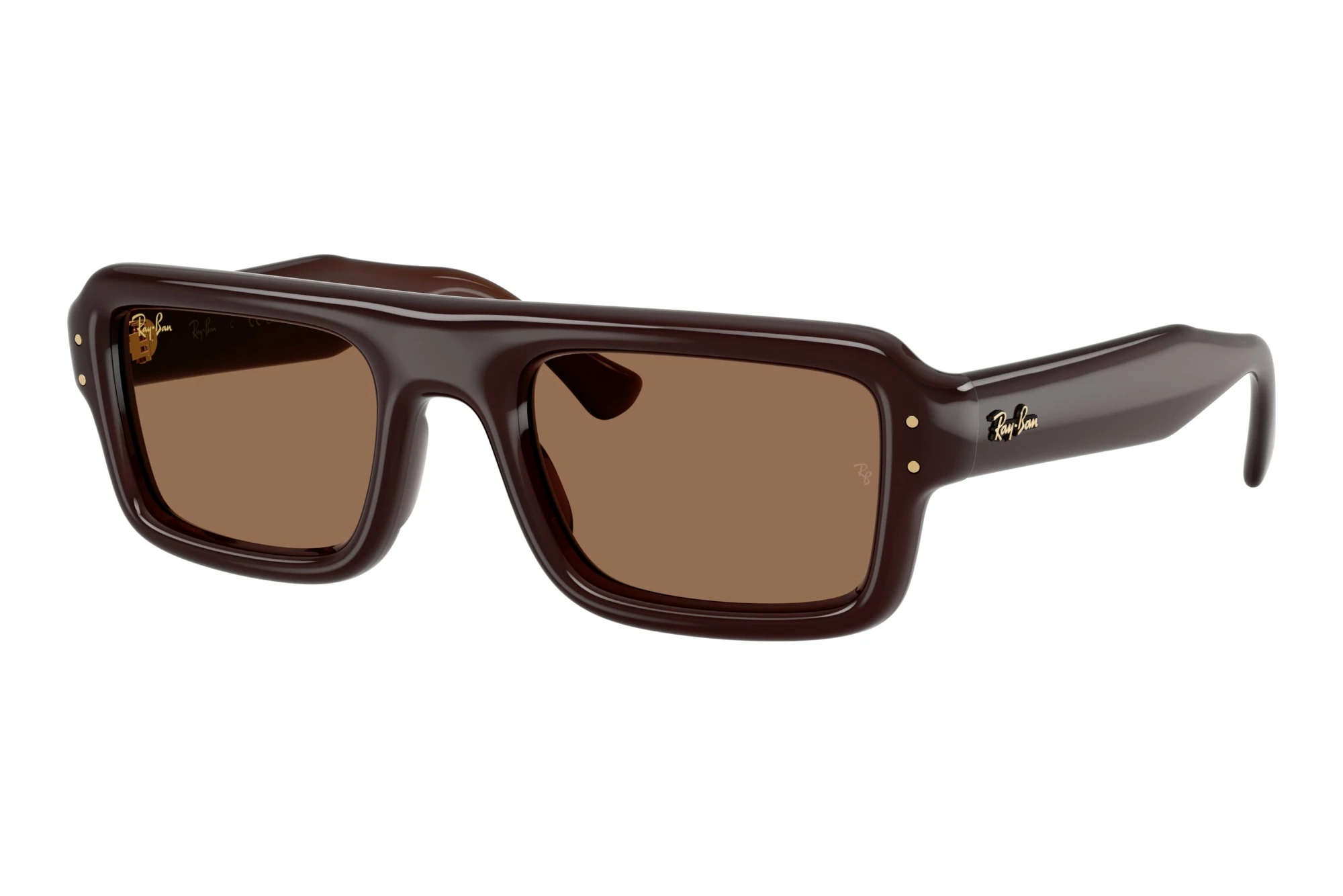 Ray-Ban RB4954 689673 Dark BrownTransparent Brown Ray-Ban RB4954 689673 Dark BrownTransparent Brown