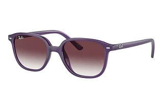 Ray-Ban Kids RJ9093S 713136