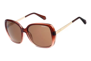 Superdry SD 996094 68