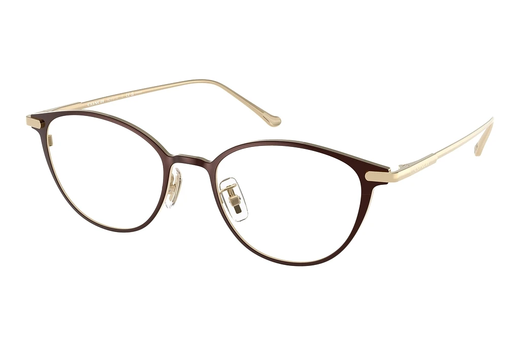 Coach   HC5181TD 9405 Shiny Dark Brown