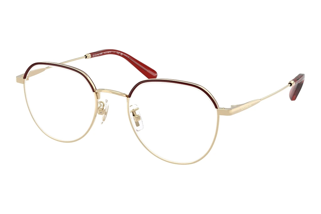 Coach   HC5188TD 9462 Shiny Light Gold/Rooibos