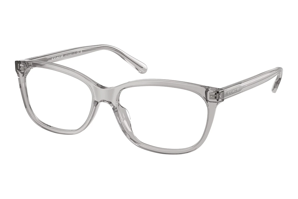 Coach   HC6139U 5176 Transparent Grey