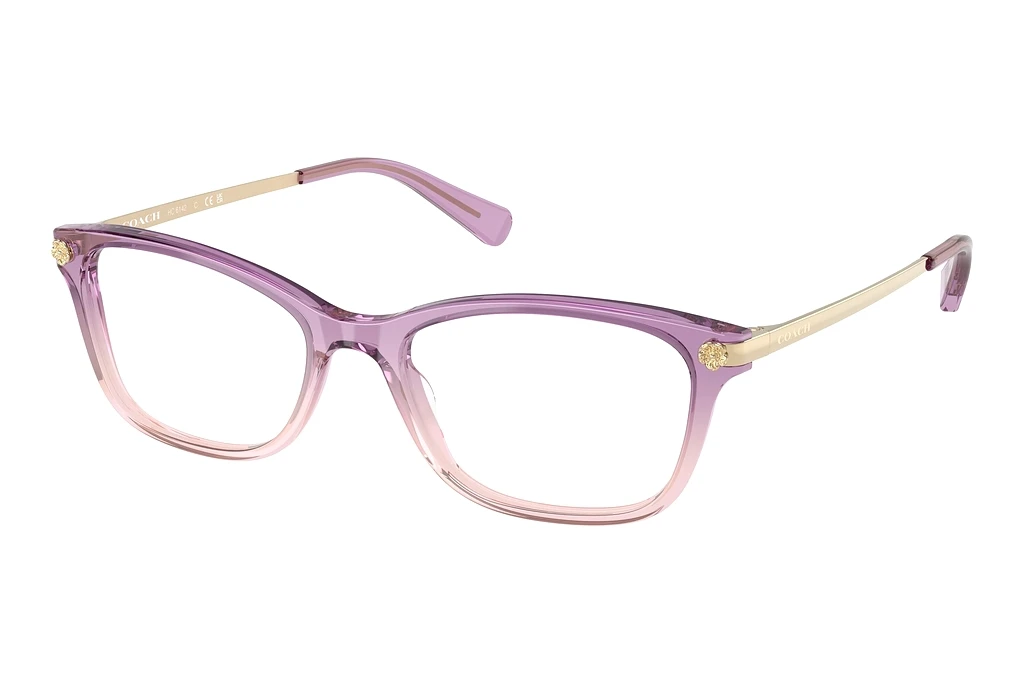 Coach   HC6142 5813 Amethyst/Pink Gradient