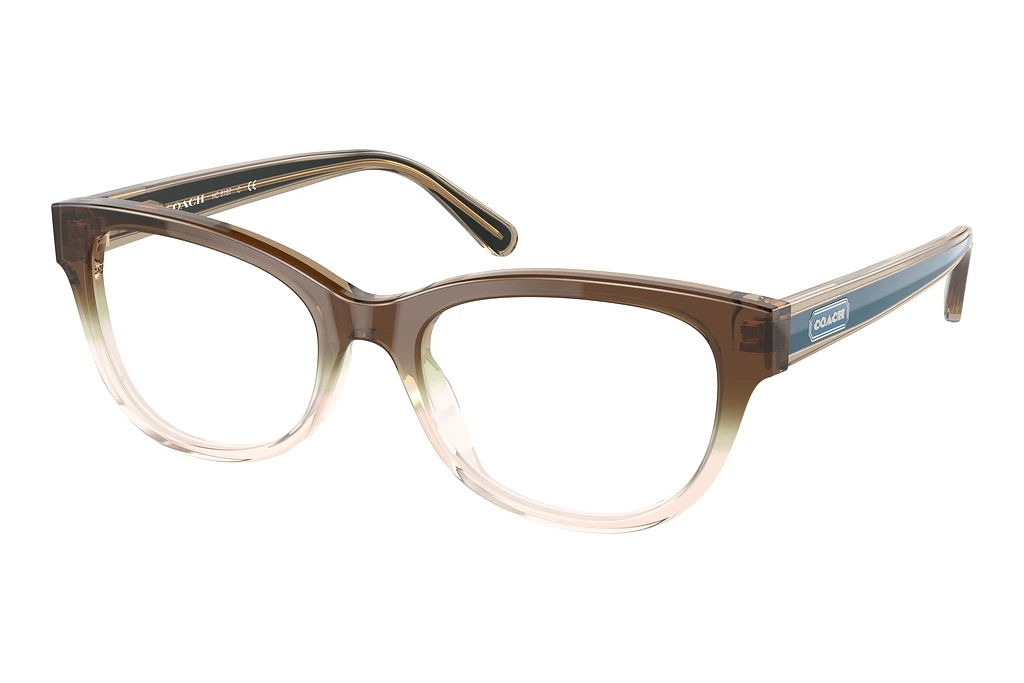Coach   HC6187 5678 Transparent Brown Gradient