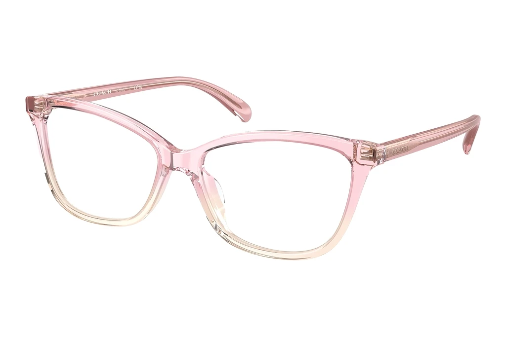 Coach   HC6206U 5738 Transparent Pink Gradient