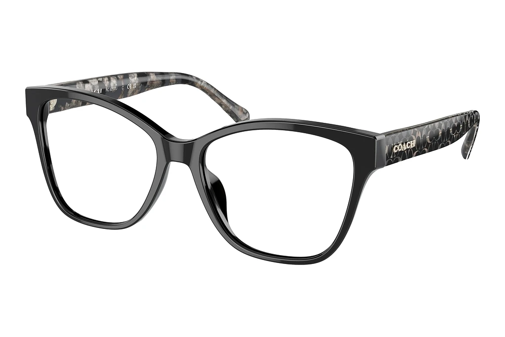 Coach   HC6207U 5002 Black