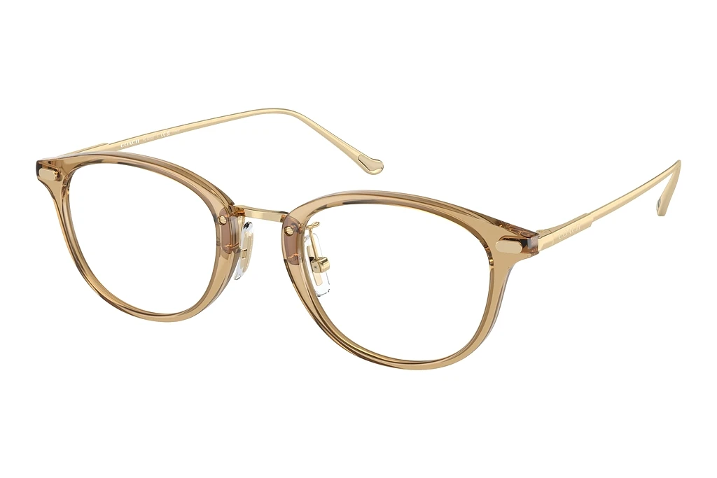 Coach   HC6230D 5736 Transparent Fawn