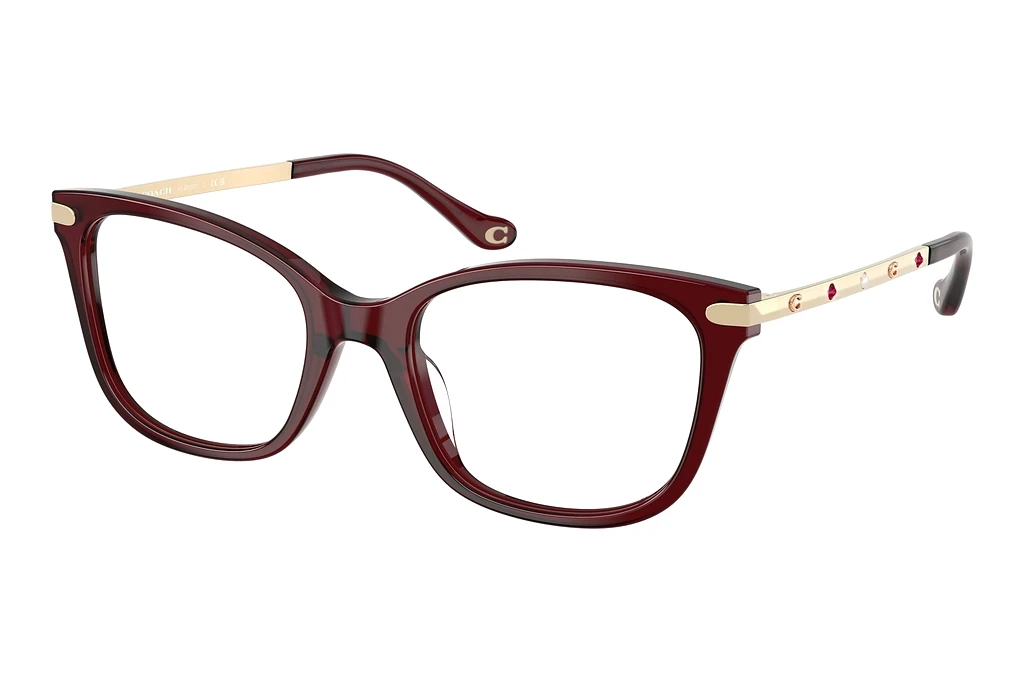 Coach   HC6261BU 5393 Milky Burgundy