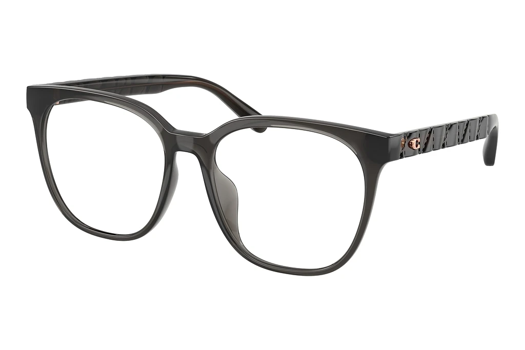 Coach   HC6267D 5897 Transparent Dark Grey