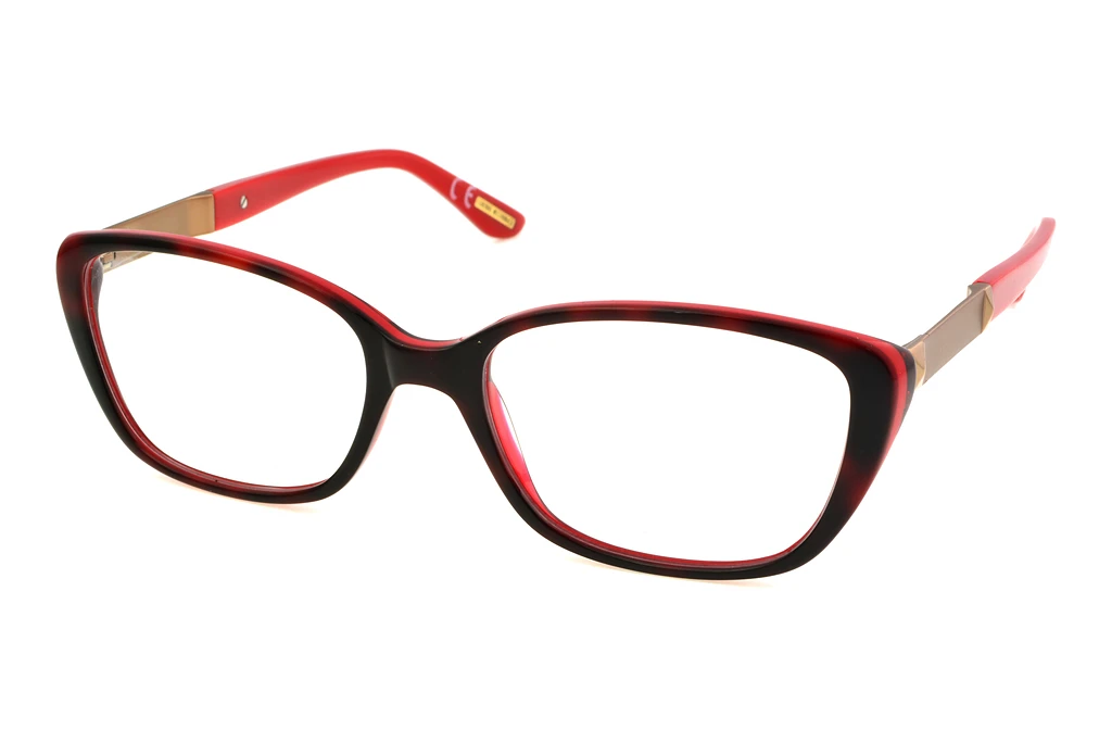 Corinne McCormack   CM002 02 TORTLE