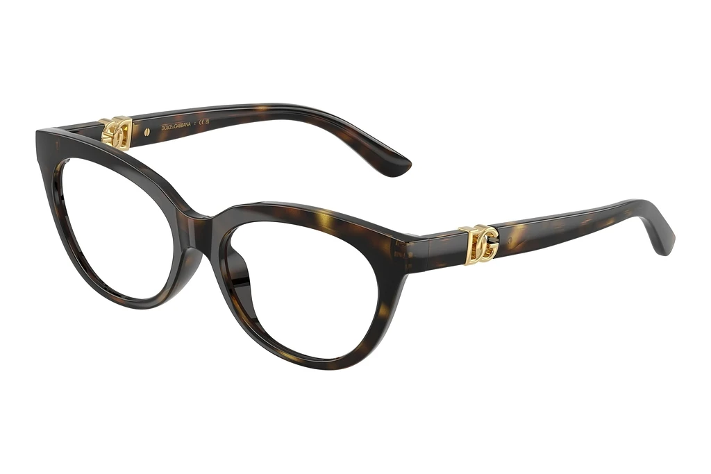Dolce & Gabbana   DX5005U 502 Havana