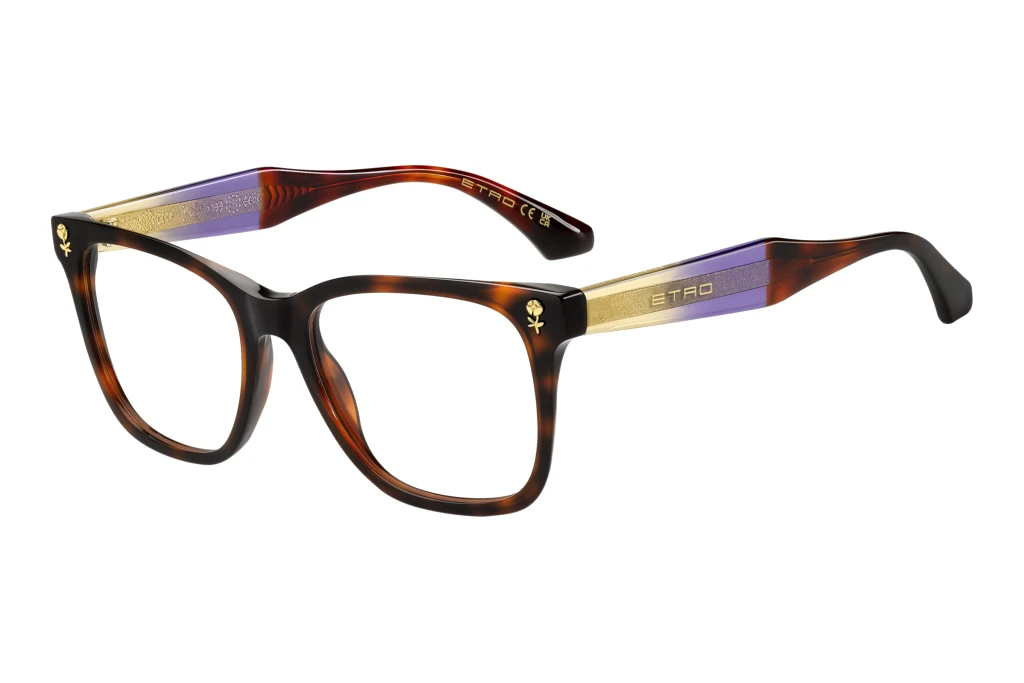 Etro   ETRO 0115 ECM VIOLET HAVANA BURGUNDY