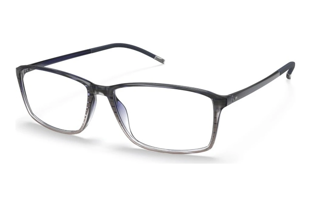 Silhouette   2942 9010 Titanium / Iceland Black