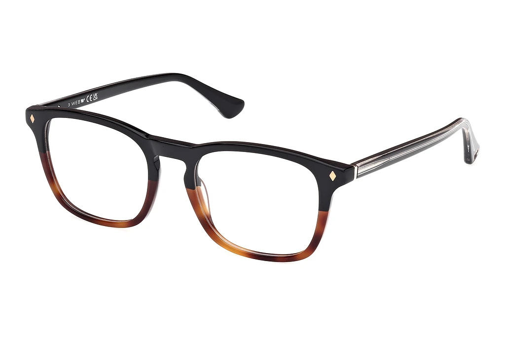 Web Eyewear   WE5386 056 Schwarz/Havanna