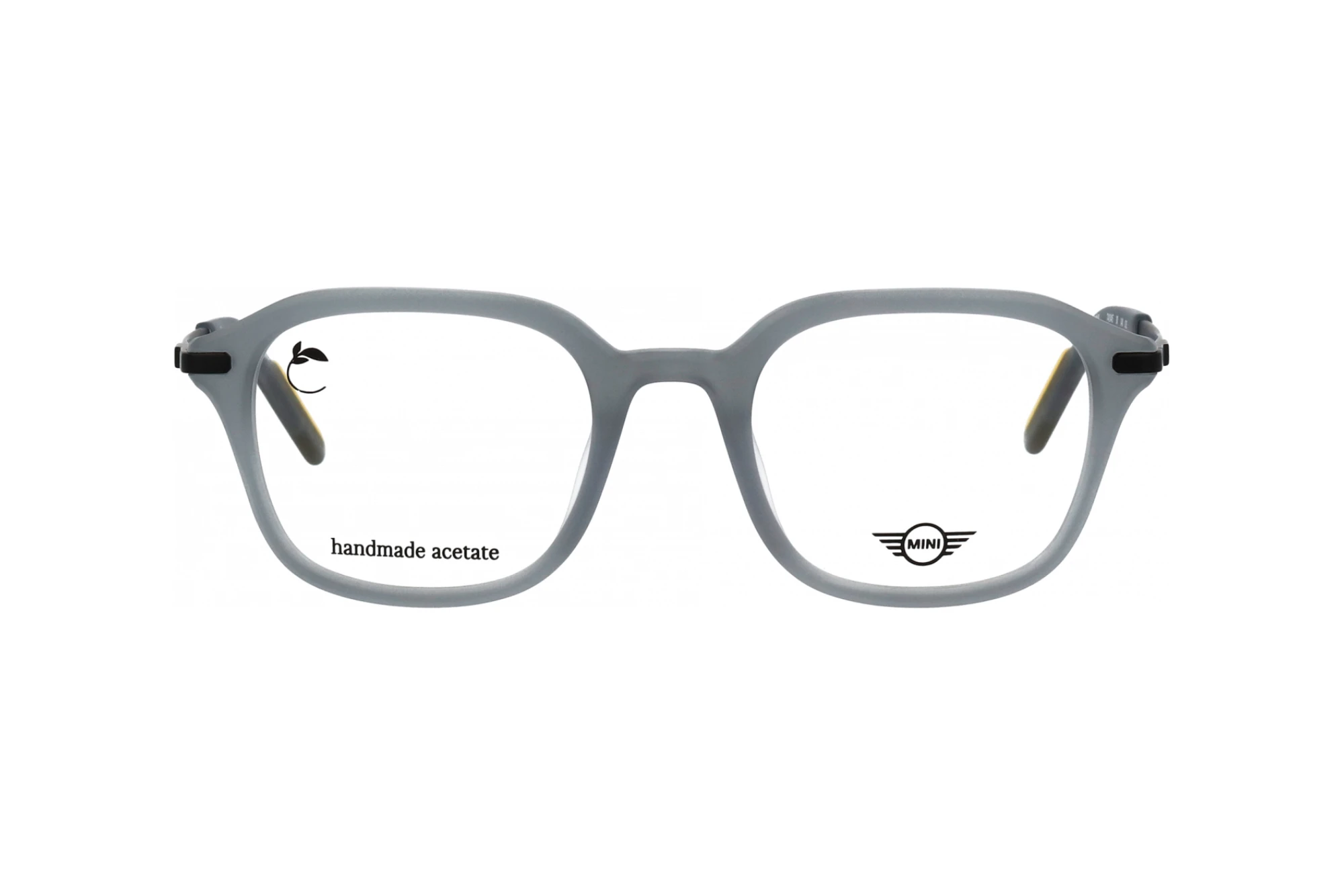 Front view MINI Eyewear MI 741045 (30)