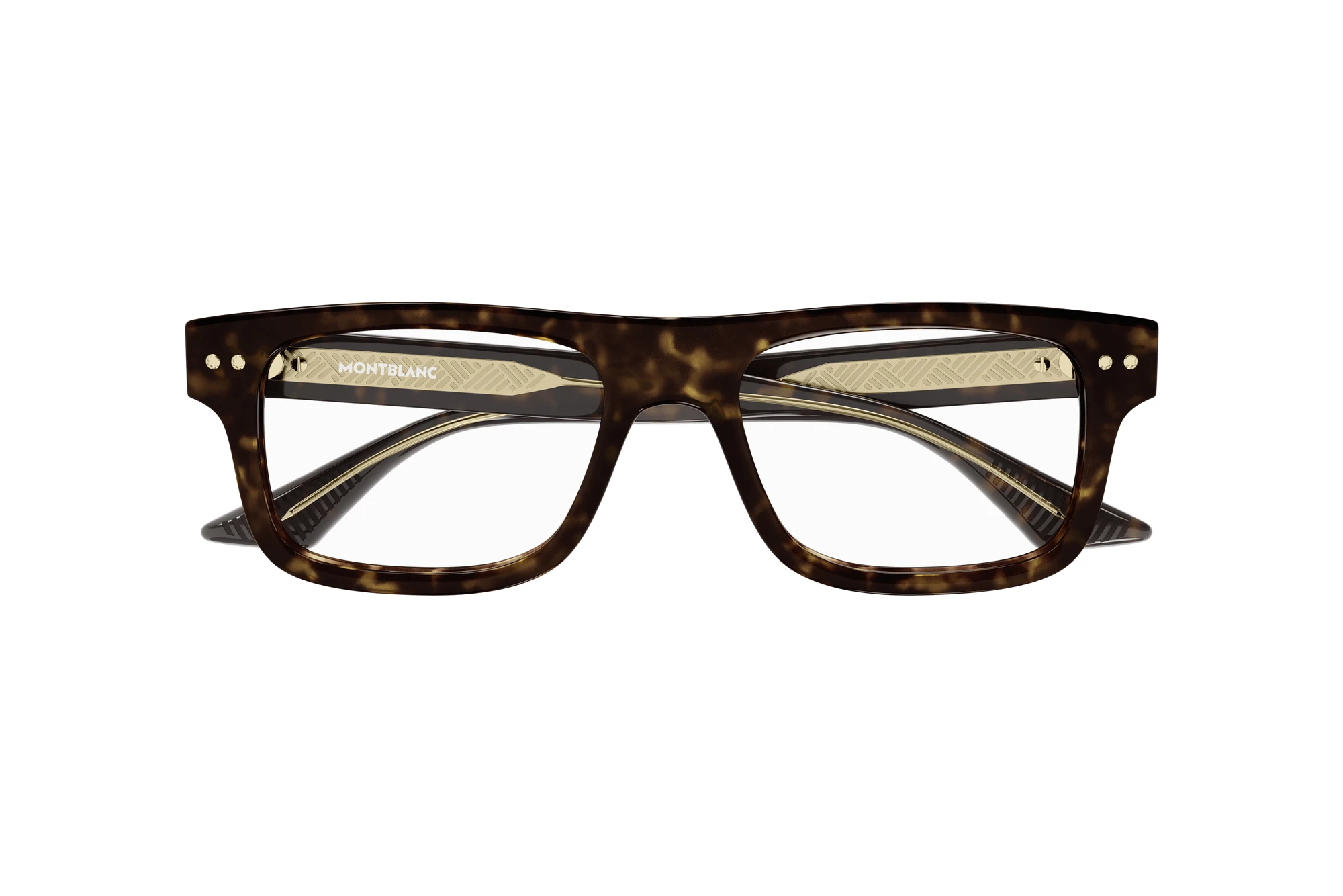 Front view Mont Blanc MB0289O (006)