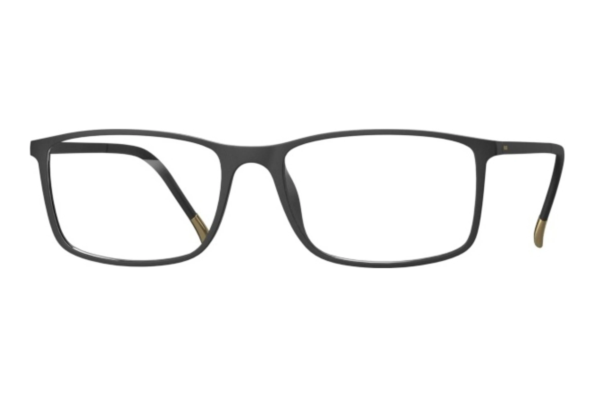 Silhouette   2934 9030 Black Matte