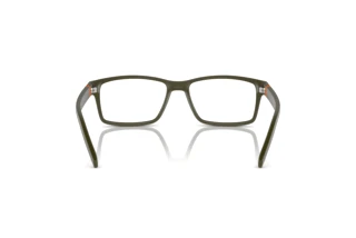Rear view Arnette LEONARDO (AN7179 - 2854)