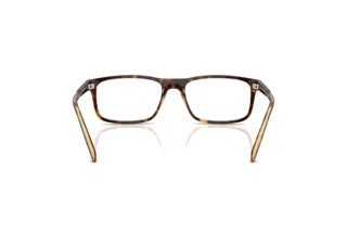 Rear view Arnette DARK VOYAGER (AN7194 - 2770)