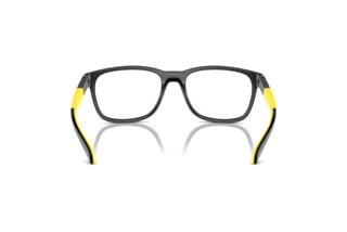 Rear view Arnette ORIBEE (AN7240U - 2904)