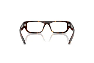 Rear view Arnette PHENO (AN7273 - 1222)