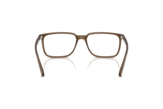 Rear view Arnette JECKO (AN7280 - 2997)