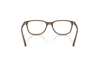 Rear view Arnette CRUMBLE (AN7281 - 2997)