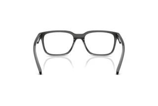 Rear view Arnette STEEK (AN7284 - 3009)