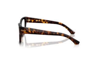 Side view Burberry BE2420 (3002)