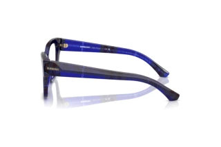 Side view Burberry BE2420 (4114)