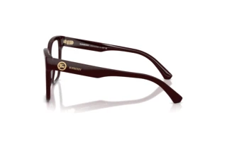 Side view Burberry BE2443 (4204)