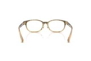 Rear view Burberry BE2447D (4201)