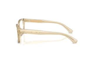 Side view Burberry BE2453 (4226)