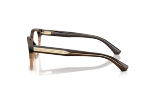 Side view Burberry BE2454 (4207)