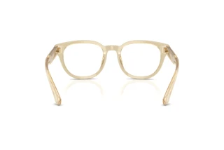 Rear view Burberry BE2454 (4226)