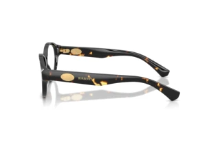 Side view Burberry BE2466 (4106)