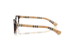 Side view Burberry BE2473D (4216)