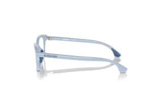 Side view Burberry JB2010U (4132)