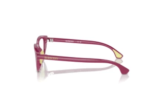 Side view Burberry JB2011U (4134)